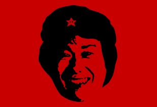 Viva Miyamoto!