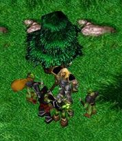 Warcraft Reloaded on Shockwave!
