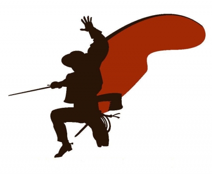 Zorro su Wii