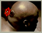 Capcom sceglie Steam Capcom sceglie Steam