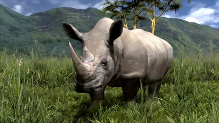 Sony: niente Europa per Afrika Sony: niente Europa per Afrika