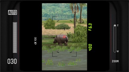 Afrika: filmate le prime fasi di gioco Afrika: filmate le prime fasi di gioco