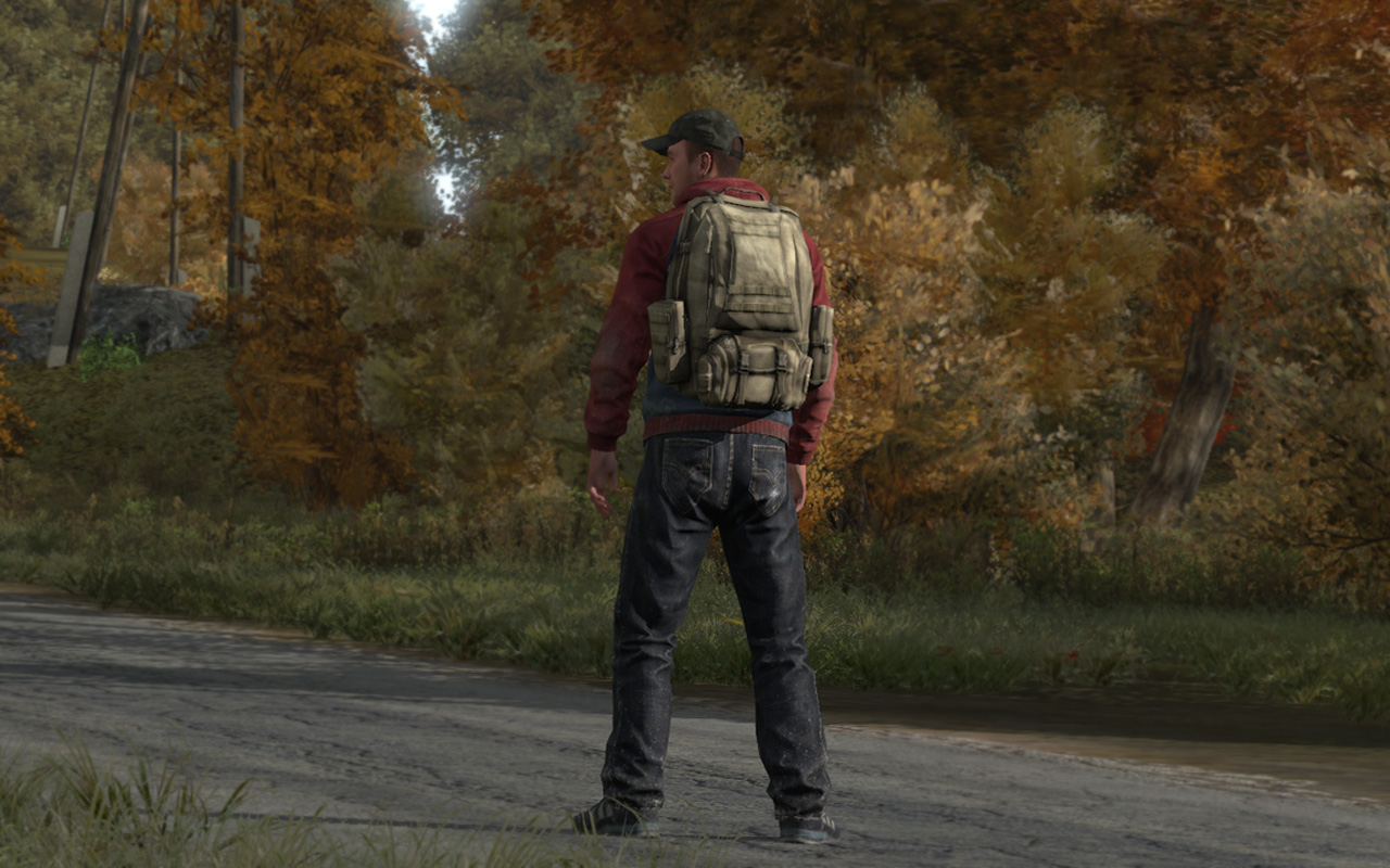 DayZ: un nuovo video-diario ci parla di IA e durata degli oggetti
