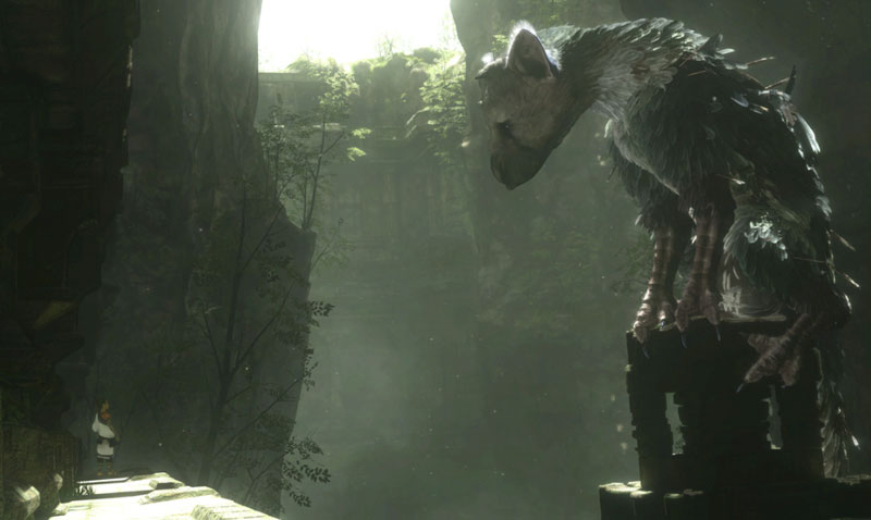 The Last Guardian sarà presentato all’E3 2015?