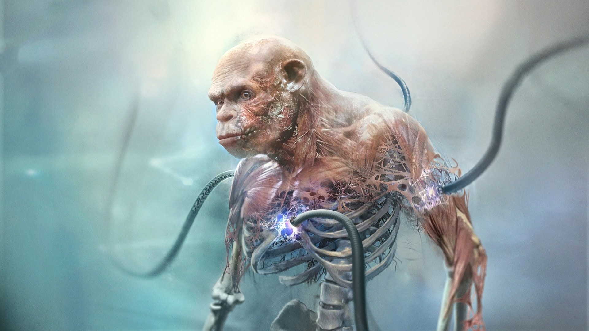 Beyond Good and Evil 2: immagini e video dai mondi alieni del Sistema 3